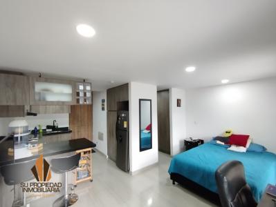 Apartaestudio En Arriendo En Bogota En Candelaria A155361, 30 mt2, 1 habitaciones