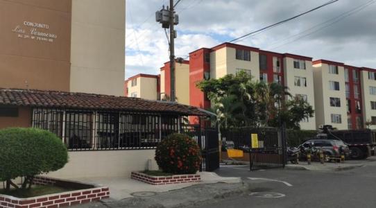 Apartamento En Arriendo En Cali En Brisas De Los Alamos A159399, 55 mt2, 3 habitaciones