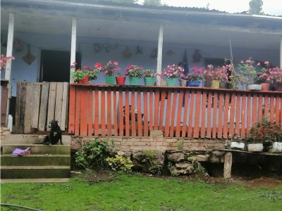 Vendo o Permuto Finca de 18 Fanegadas en Pacho Cundinamarca, 4 habitaciones