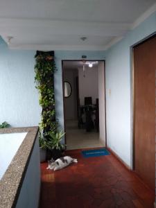 Apartamento En Venta En Cali En El Lido V13886, 55 mt2, 3 habitaciones