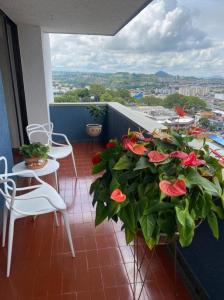 Apartamento En Venta En Pereira V93662, 154 mt2, 3 habitaciones