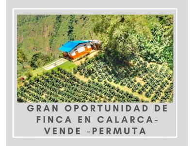 Ven  Finca en el Quindio vía Armenia Calarca, 20 cuadras  4867, 32767 mt2, 3 habitaciones