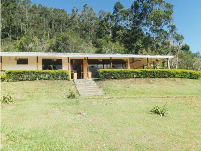 Vendo Hermoso Casa Lote de 5000 M2 en Pacho Cundinamarca, 60 mt2, 3 habitaciones