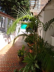 Casa En Venta En Cucuta En La Ceiba V130263, 136 mt2, 3 habitaciones