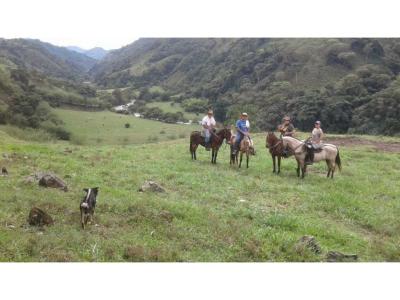 Vendo finca ganadera en abejorral Antioquia, 450 mt2, 4 habitaciones