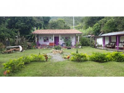 Finca Agrícola en Venta Municipio de Anzá Antioquia , 3 habitaciones