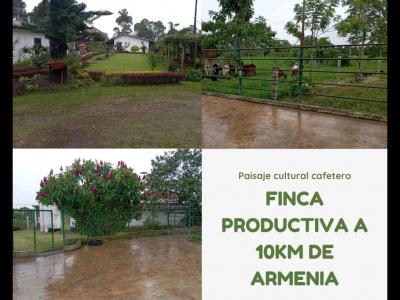 GRAN OPORTUNIDAD DE FINCA AGRICOLA Y GANADERA TEBAIDA 4894