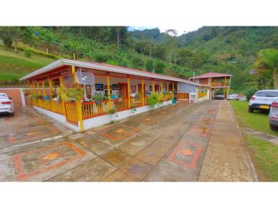 Finca productiva en venta Buena vista Quindio, 400 mt2, 10 habitaciones