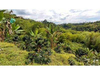 Finca en Barcelona cultivada en cafe y platano con hermosa vista, 80 mt2, 3 habitaciones