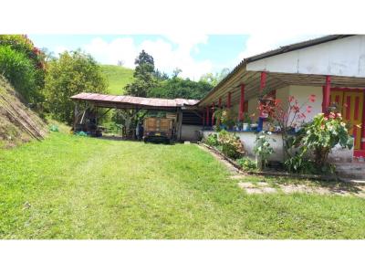 SE VENDE FINCA EN CALARCÁ- QUINDIO, 100 mt2, 3 habitaciones