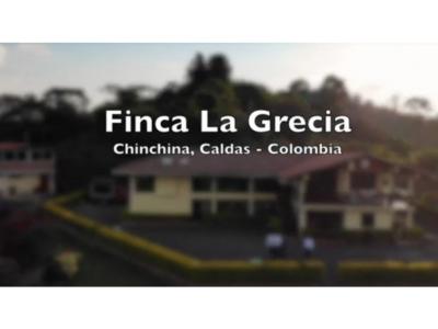 FINCA CAFETERA DE GRAN POTENCIAL EN CHINCHINA CALDAS, 193 mt2, 13 habitaciones