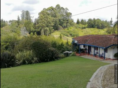 Venta de finca en Rionegro, 565 mt2, 6 habitaciones
