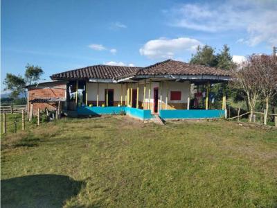 Finca con bosque nativo agua y espectacular vista panorámica, 100 mt2, 3 habitaciones