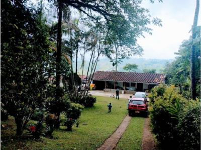 Se vende acogedora Finca en Fredonia Antioquia (MJ), 120 mt2, 3 habitaciones