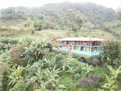 Venta de Finca Agroindustrial en Jardin Antioquia , 250 mt2, 5 habitaciones