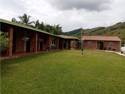 Venta Hacienda Ganadera Vereda La Susana Maceo Antioquia