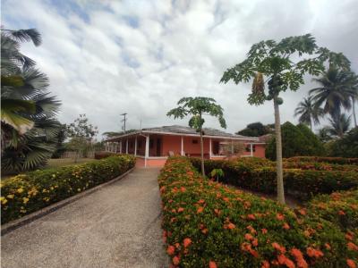 FINCA CON PROYECTO AGROINDUSTRIAL EN VENTA VÍA PLANETA RICA, 12 habitaciones