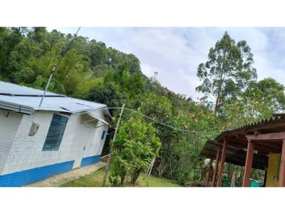 Vendo finca en Pacho Cundinamarca de 4000 M2 , 120 mt2, 7 habitaciones