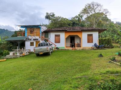 Finca En Venta En Pereira En Pereira V72942, 1000 mt2, 6 habitaciones