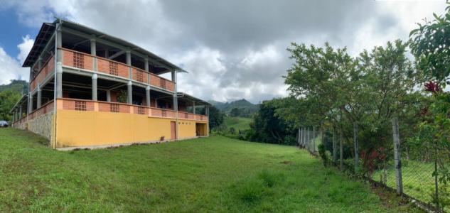 Finca En Venta En Pereira V95233, 400 mt2, 6 habitaciones