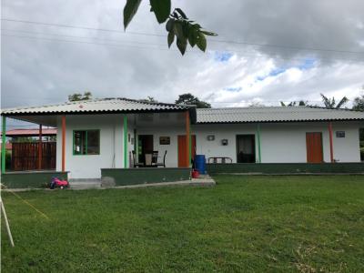 FINCA EN VENTA VEREDA BALCONES-QUIMBAYA, 4 habitaciones