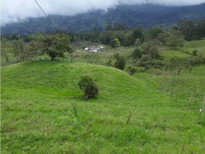 Venta de Finca ganadera y cultivable en San Bernardo Cundinamarca, 4 habitaciones
