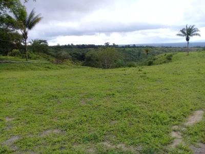 Finca En Venta En Yopal V48090, 120 mt2