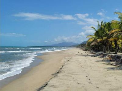 Lote de playa  en venta 2.4 hectáreas parque tayrona, 80 mt2, 2 habitaciones
