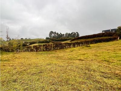 HERMOSOS  CON EXCELENTE UBICACIÓN -EL CARMEN DE VÍBORAL, 2300 mt2