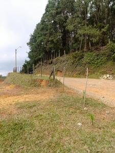 Lote En Venta En Guarne V100711, 4111 mt2