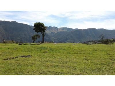 Venta-  Lote zona Rural de la Calera, 10000 mt2