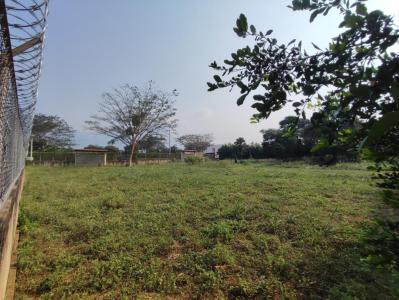 Lote En Venta En Los Patios En Vereda Villas De Corozal V95027, 1150 mt2