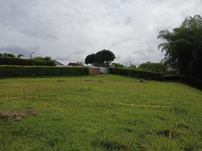 Lote En Venta En Pereira V41958, 3861 mt2