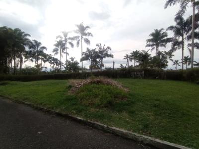 Lote En Venta En Pereira En Pereira V73024, 1000 mt2