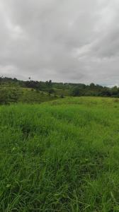 Lote En Venta En Pereira En Galicia V107302, 10000 mt2