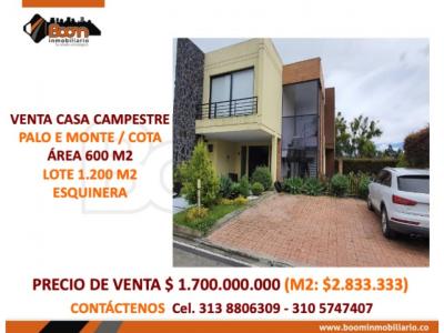 *VENTA CASA 600 M2 PALO E MONTE COTA, 600 mt2, 4 habitaciones