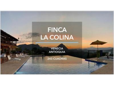FINCA LA COLINA - VENDO FINCA EN VENECIA ANTIOQUIA , 32767 mt2, 7 habitaciones