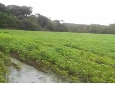 Finca agro ganadera en Puerto Lleras Villavicencio tractorable, 20 mt2, 3 habitaciones