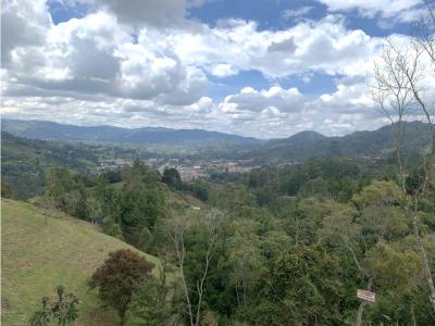 En  en El Retiro, Antioquia, 11126 mt2