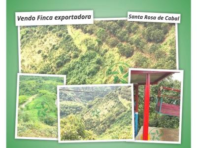 Vendo Finca sembrada en aguacate y platano Sata Rosa de Cabal, 400 mt2, 5 habitaciones