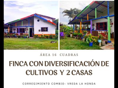  FINCA CON DIVERSIFICACION DE CULTIVOS Y 2 CASAS REF 4884, 8 habitaciones