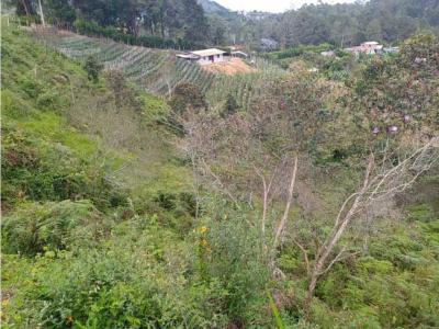  en Guarne Antioquia vereda Bellavista, 7028 mt2
