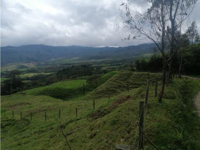 Venta Finca San José de la Montaña, Antioquia, 32767 mt2
